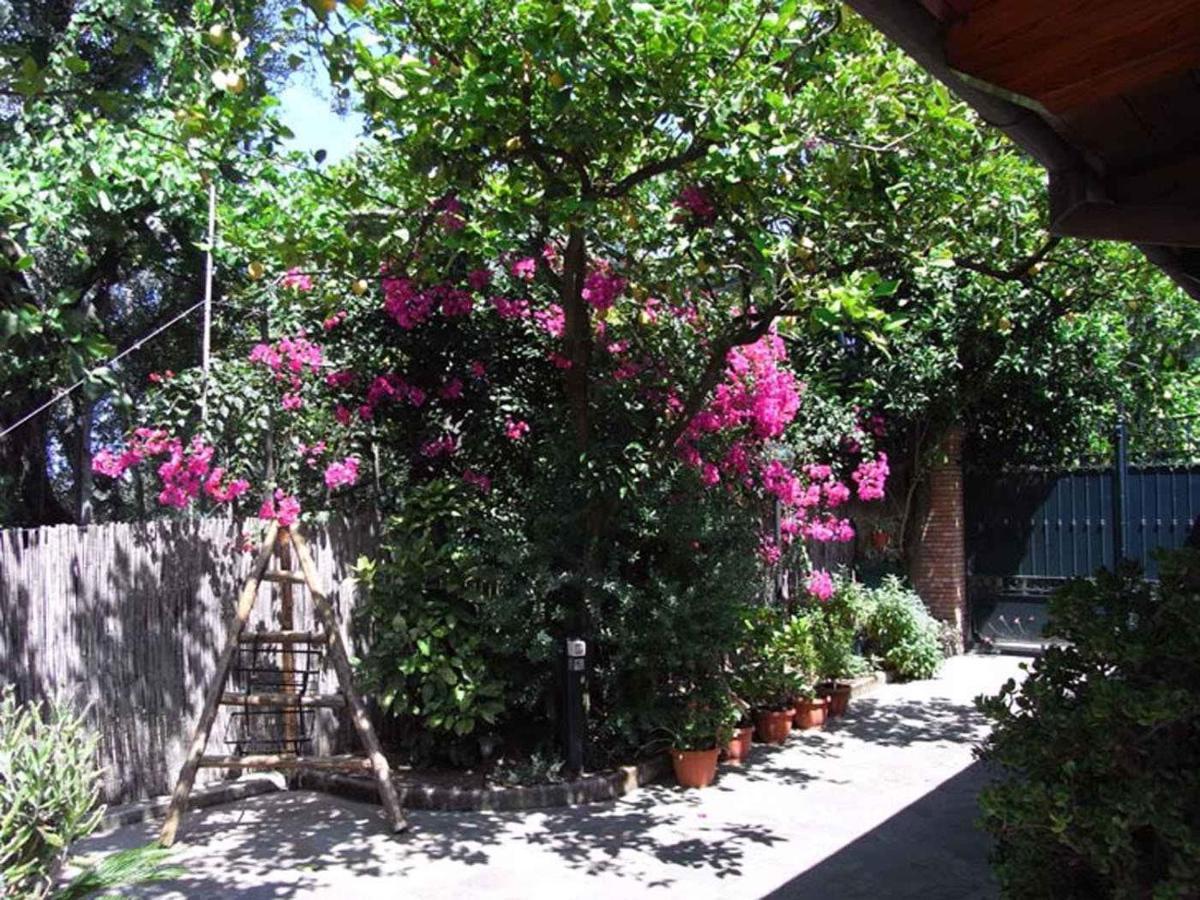 1 * Sorrento